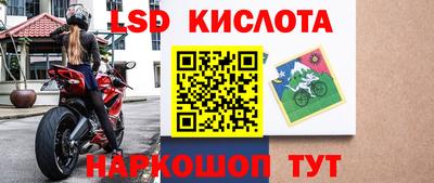 ГАЛЛЮЦИНОГЕННЫЕ ГРИБЫ Кингисепп